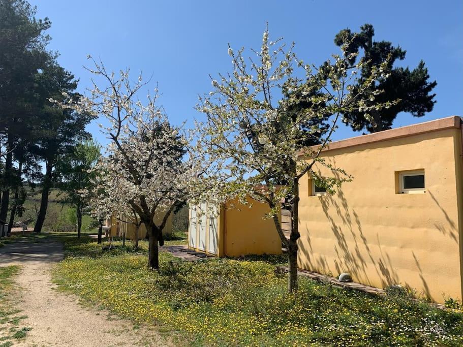 B&B Helga'S Agricampeggio Seùlo Exteriér fotografie