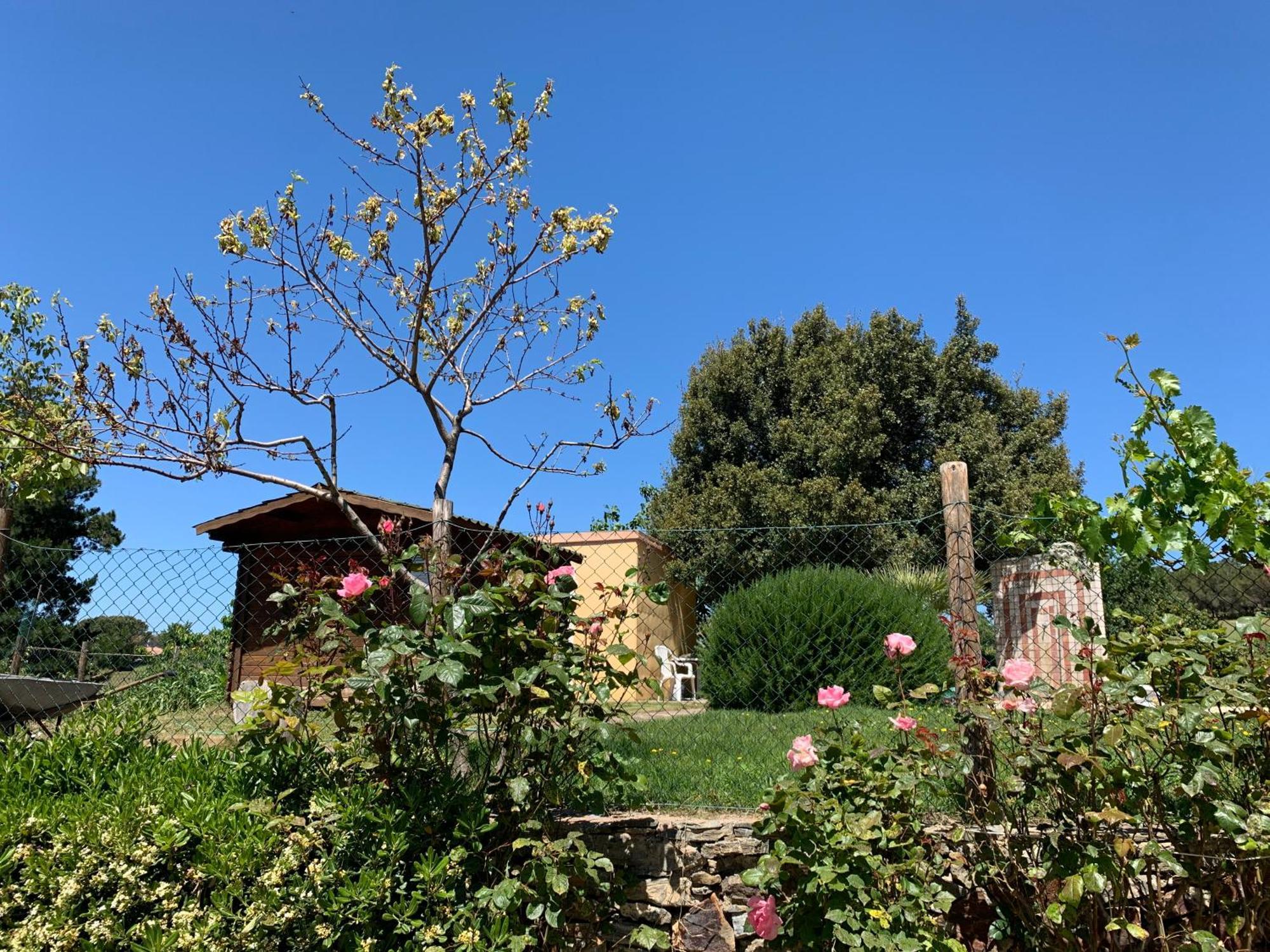 B&B Helga'S Agricampeggio Seùlo Exteriér fotografie